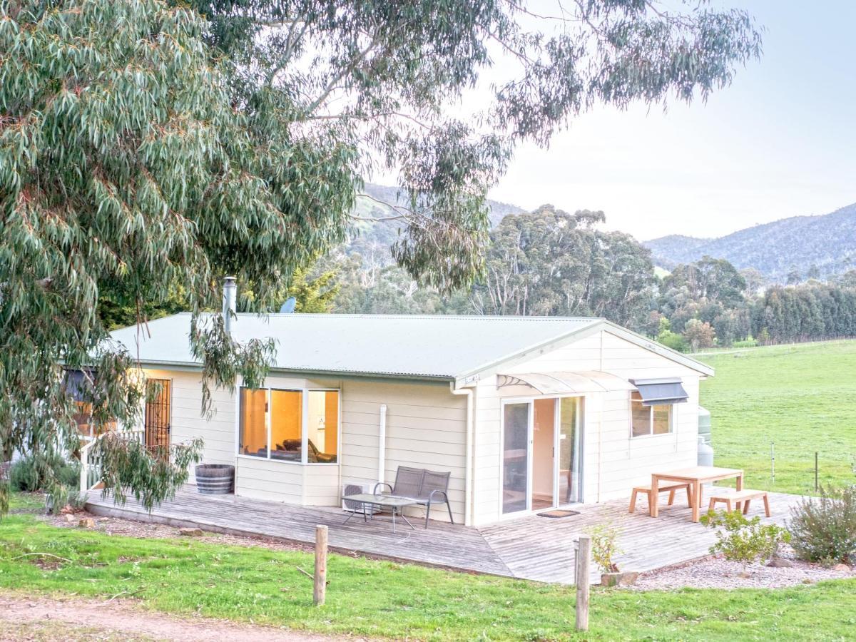 Halls On Falls Homestead Strath Creek Exterior photo